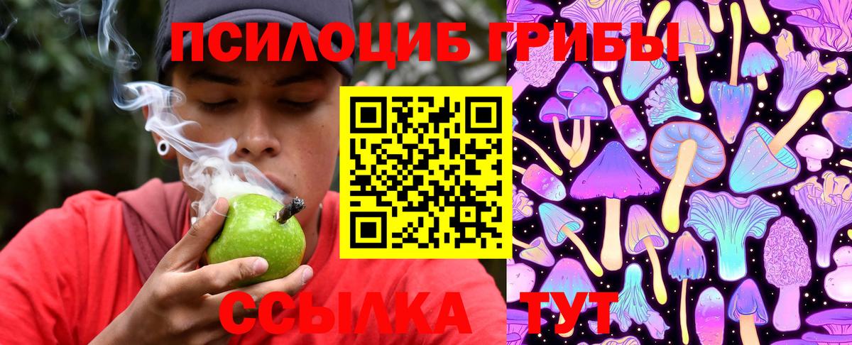 Псилоцибиновые грибы Magic Shrooms  Вход с VPN  Лыткарино 